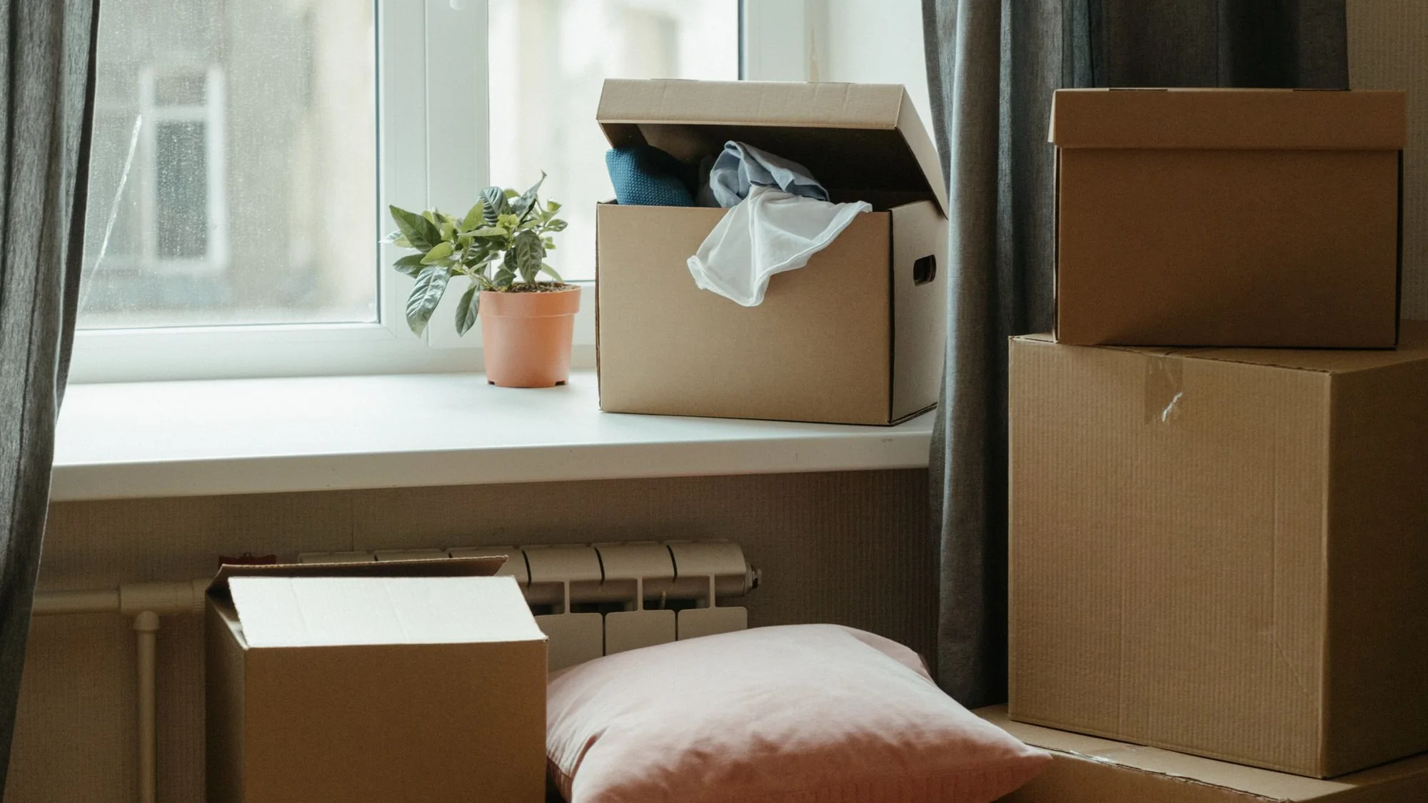 Move-In / Move-Out Cleaning